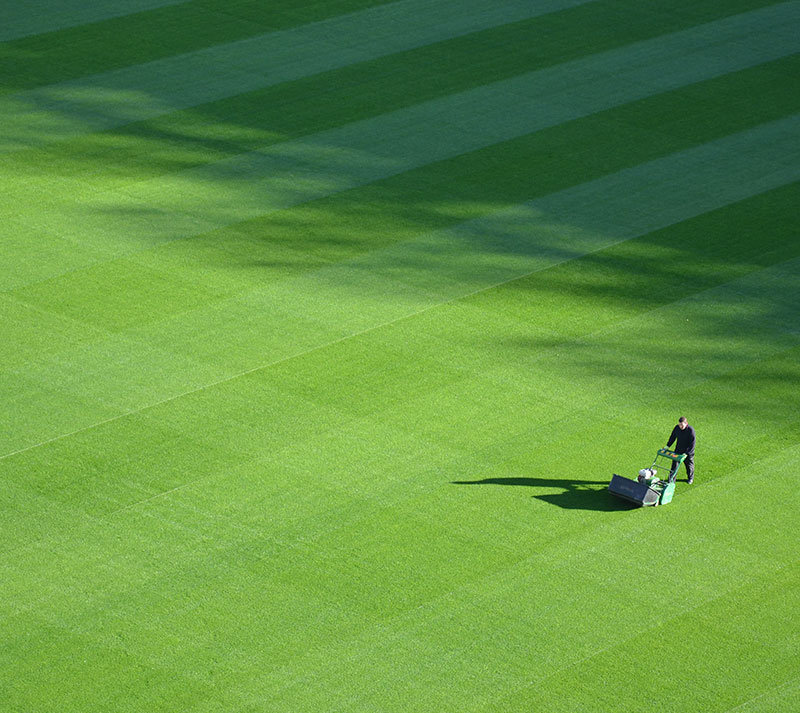 herbe naturelle - 3